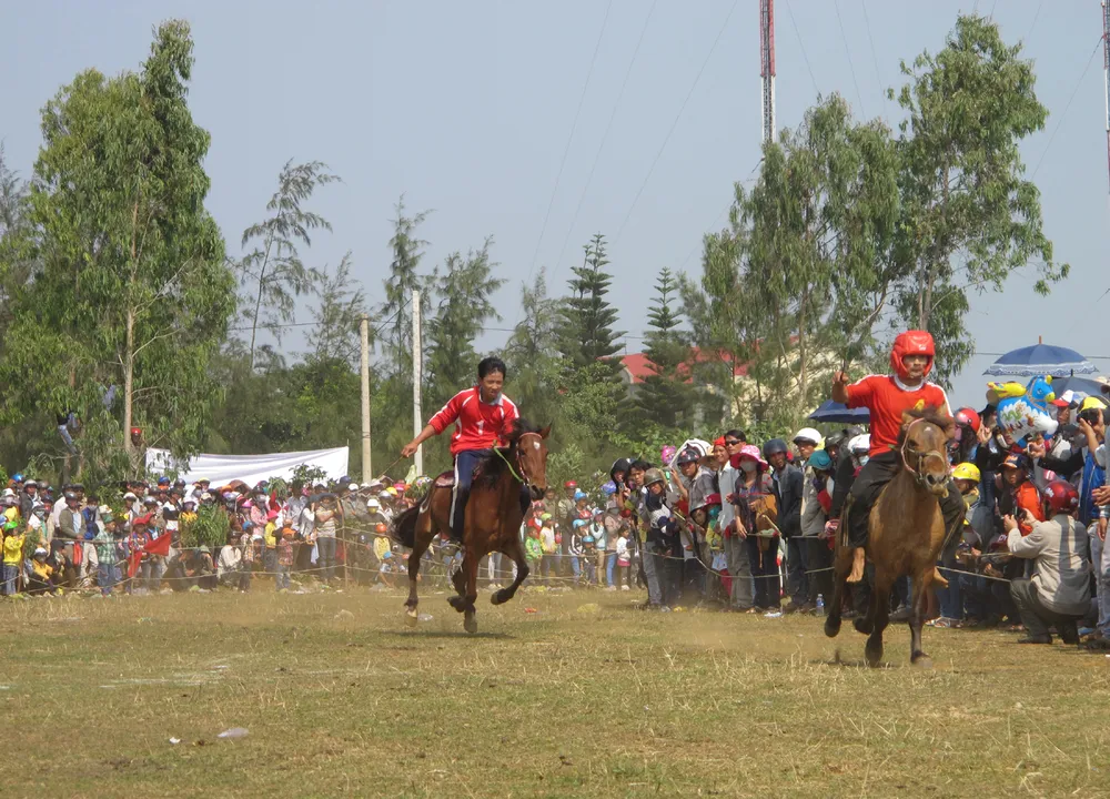 Tưng bừng ngày hội đua ngựa thồ ảnh 9